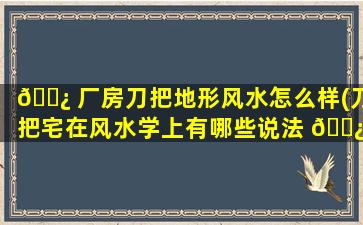 🌿 厂房刀把地形风水怎么样(刀把宅在风水学上有哪些说法 🌿 )
